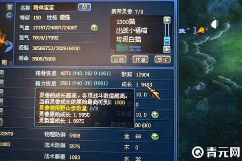 倩女幽魂精力加什么