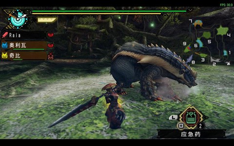 怪物猎人p3是什么[图2]